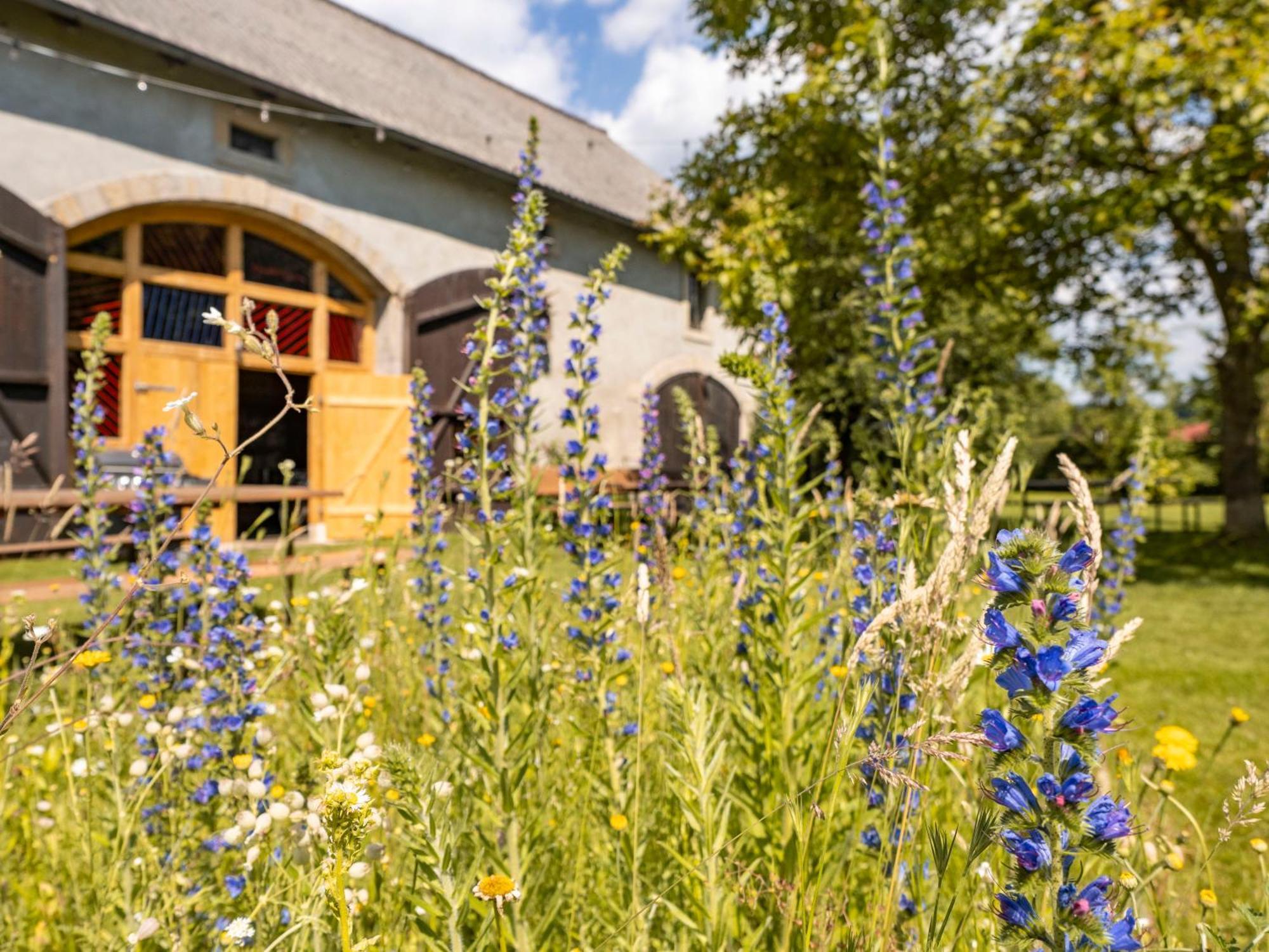 Hinterland Hostel Rathen Exterior foto